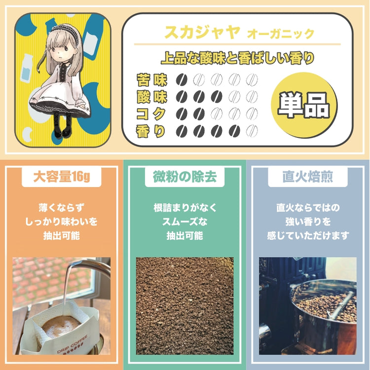 ［ギフト］ドリップパック18点セット